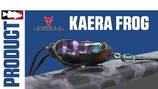 Jared Lintner and Alex Davis Discuss the Jackall Kaera Frog