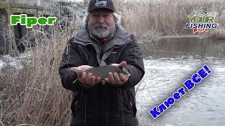 Пассивная примануха на которую КЛЮЕТ ВСЁ! YourFishing Baits FIPER!