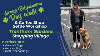 Group Behavioural Walk And Coffee Shop Workshop Trentham Gardens | The Dog Therapist