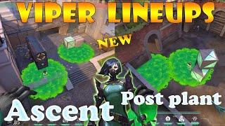 Top 15 New Ascent Viper Post Plant Lineups | Viper Lineups Ascent | Viper Guide Ascent |