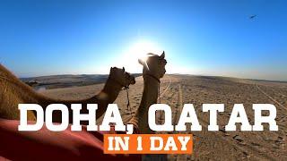 DOHA, QATAR IN 1 DAY - SOUQ WAQIF, DESERT SAFARI, CAMEL RIDE