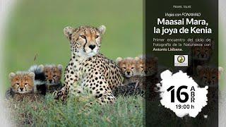 Travel Talks: Viajes con FONAMAD | "Maasai Mara, la joya de Kenia" con Antonio Liébana.