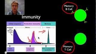 The Immune System