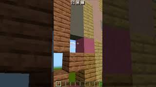 Minecraft The Best Dream Face Reveal Build #shorts