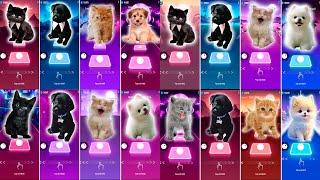 CUTE CAT DANCE MONKEY & JISOO FLOWER & JISOO FLOWER & CUTE DOG BARBIE GIRL & BLOODY MARY & WAKA WAKA