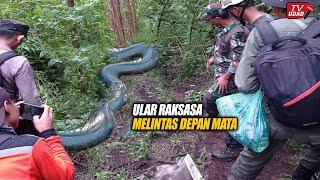 Ngeri !! Pendaki Ketakutan Melihat Ular Raksasa Melintas Dijalur Pendakian, Kencing di Celana...