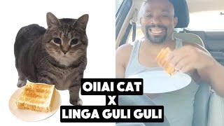 OIIA Cat X Linga guli guli guli Don Pollo