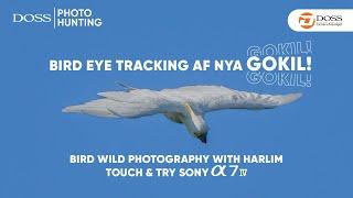 Sony Alpha 7 IV Eye Tracking Auto Focus  |  DOSS Photo Hunting: Bird Wild Photography with Harlim