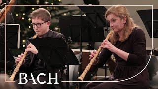 Bach - Jesus bleibet meine Freude from Cantata BWV 147 | Netherlands Bach Society