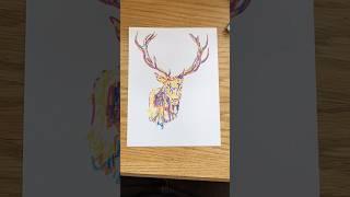 Deer Art! #deerart #deerdrawing #deerpainting #deerlove #deer #animalartist #animalpainting #artwork