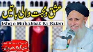 Ishq o Muhabbat Ki Baten By Hafiz Hafeez Ur Rehman Qadri Best Bayan 2024