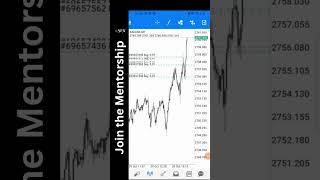 From $100 to $700 Trading Gold | Sophia FX Success Story!