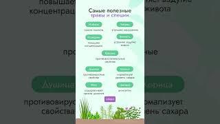 Обязательно включите в рацион #травы #фитотерапия