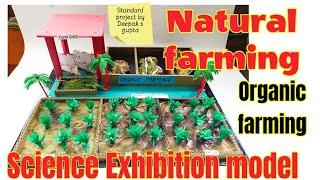 Natural farming /organic farming best model #naturalfarming #naturalfarmingmadeeasy #organicfarming