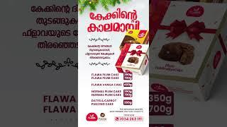 Flawa Christmas cake | F zone Food Products | F zone world projects