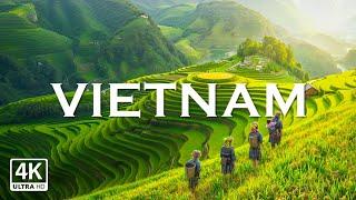 Vietnam Relaxation Film 4K - Peaceful Relaxing Music - Nature 4k Video Ultra HD