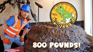   Handyman Hal at the POOZEUM! Awesome Dinosaur Fossils 