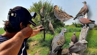Unseen Birds Hunting Ever with Slingshot! Perfect Head Kills with Slingshot