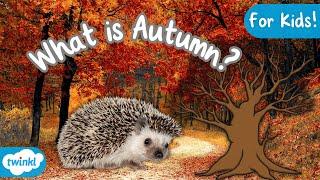 What is Autumn? | Signs of Autumn for Kids 