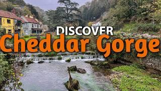 Walking Cheddar Gorge Clifftops and Cheddar Village Tour