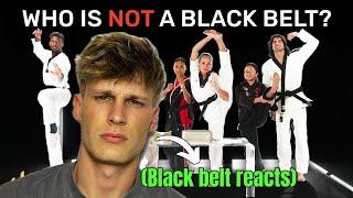 Can I guess the FAKE black belts?!