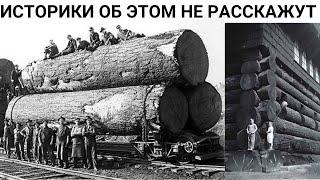 Деревья Великаны Руси уничтожены катастрофой 19 века
