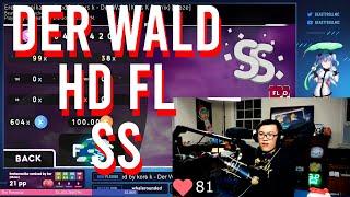 BTMC reacts to DER WALD HD FL SS by hurrikate Maze difficulty