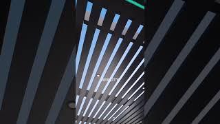 Rendering ️ Reality 