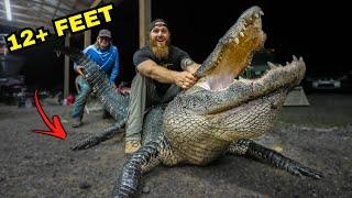 The BIGGEST ALLIGATOR we ever Hunted!! **REMOVED from YouTube**