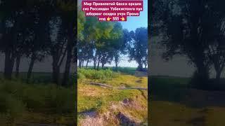 Абдуллох домла