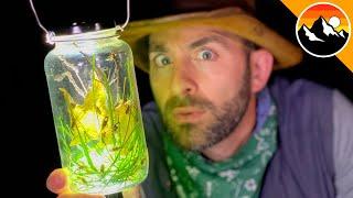 GLOW BUGS! - How to Build a Lightning Bug Lantern!