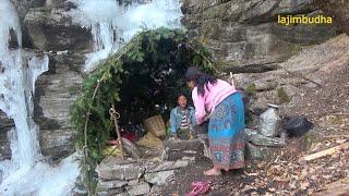 cooking green vegetable in the calm environment || lajimbudha ||