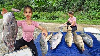 Girl catches BIG fish with homemade fish cage P2!  Catch fish during floating season