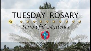 Tuesday Rosary • Sorrowful Mysteries of the Rosary  January 7, 2025 VIRTUAL ROSARY - MEDITATION