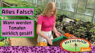 Wann werden Tomaten wirklich ausgesät?