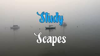 StudyScapes - A Harbor on a Foggy Day With Gull Chatter