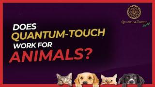 If You Love Pets and Quantum-Touch, watch this video