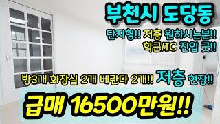 [부천빌라매매] NO.643 부천시 도당동 단지형 저층 방3개 화장실2개 베란다 2개 현장 학군 IC진입 굿 1억 중반대에 대형평수 사이즈 굿 주방 옆 베란다 급매 [도당동빌라]