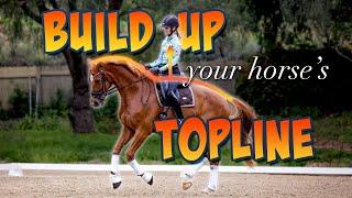 Training and Nutrition for Your Horse's Topline