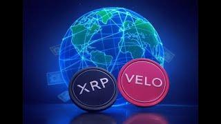 The Internet of the Financial World | VELO & XRP | The Deeper Dive