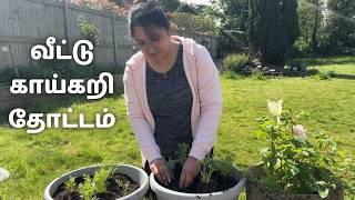 Farming VLOG / Vegetable Garden 2024: How To Get Started / Organic vegetables - Home Gardening vlog