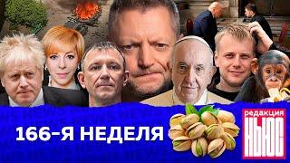 Редакция. News: 166-я неделя