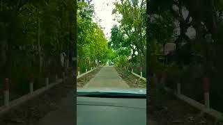 Suasana di Gorok Tanjungsari Jogorogo || part 1