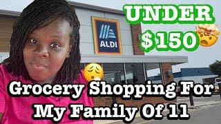 Grocery Shopping At ALDI: Groceries On A Budget