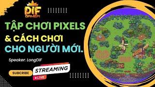 [Live Pixels] Hành Trình Trở Thành Đại Gia "Pít Xeo"  Của Tui Nè ?