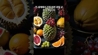 세상에서 가장 비싼 과일 탑4 (Top 4 Most Expensive Fruits in the World) #랭킹