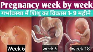 Pregnancy week by week in hindi/बेबी के अंग कब बनते है / Drhome