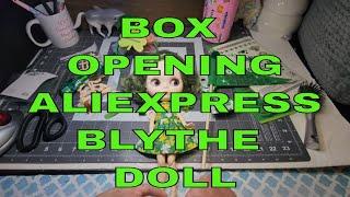 Unboxing AliExpress Blythe Doll * Watch Her Personality Form As I Add Accessories