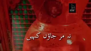 Halar Ahmed | Shahadat Bibi Sakina s.a |Whatsapp Status Noha