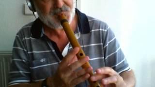 Concerning Hobbits - (Quena flute)